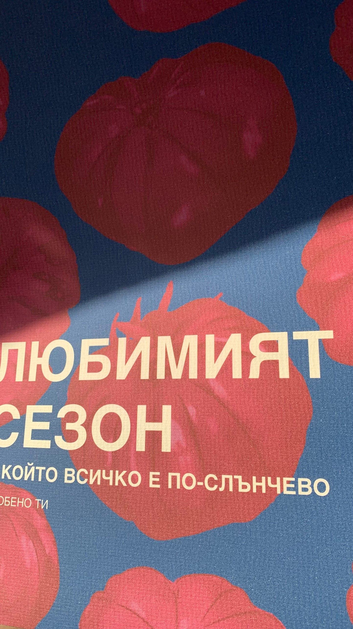 Постер "Любим сезон” III